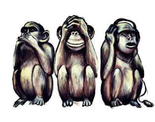 3 singes