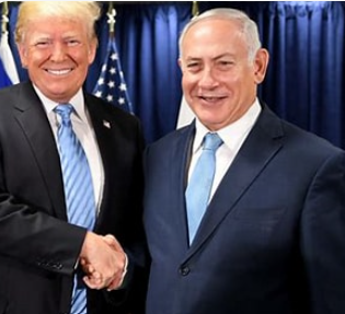 bibi & donald